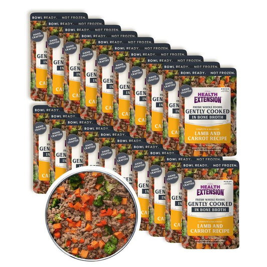 Gently Cooked Lamb and Carrot Recipe Dog Food | Health Extension