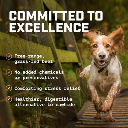 Wild Wolf 12-Inch Angus Bully Sticks (8Oz./~5 Sticks) Healthy, All-Natural, Long-Lasting Dog Chew Bones - Low Odor - Mixed Thickness - Lab-Tested, Hand-Inspected and Packed with Love in the USA