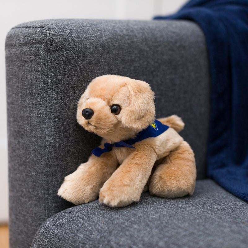 Golden Lab with Mane 'N Tail Blue Bandana