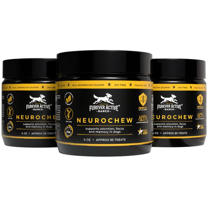 Neurochew | Your Dog'S Best Defense against Canine Dementia
