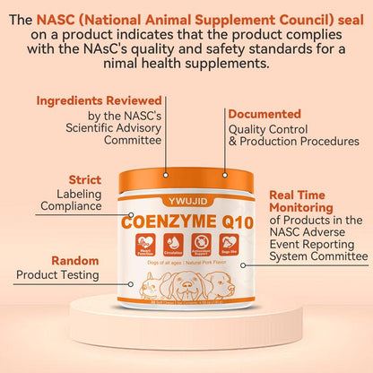 Gentle Wellness Support for Dogs | Taurine + Coq10 Soft Chews | No Fillers or Artificial Flavors