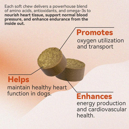 Gentle Wellness Support for Dogs | Taurine + Coq10 Soft Chews | No Fillers or Artificial Flavors