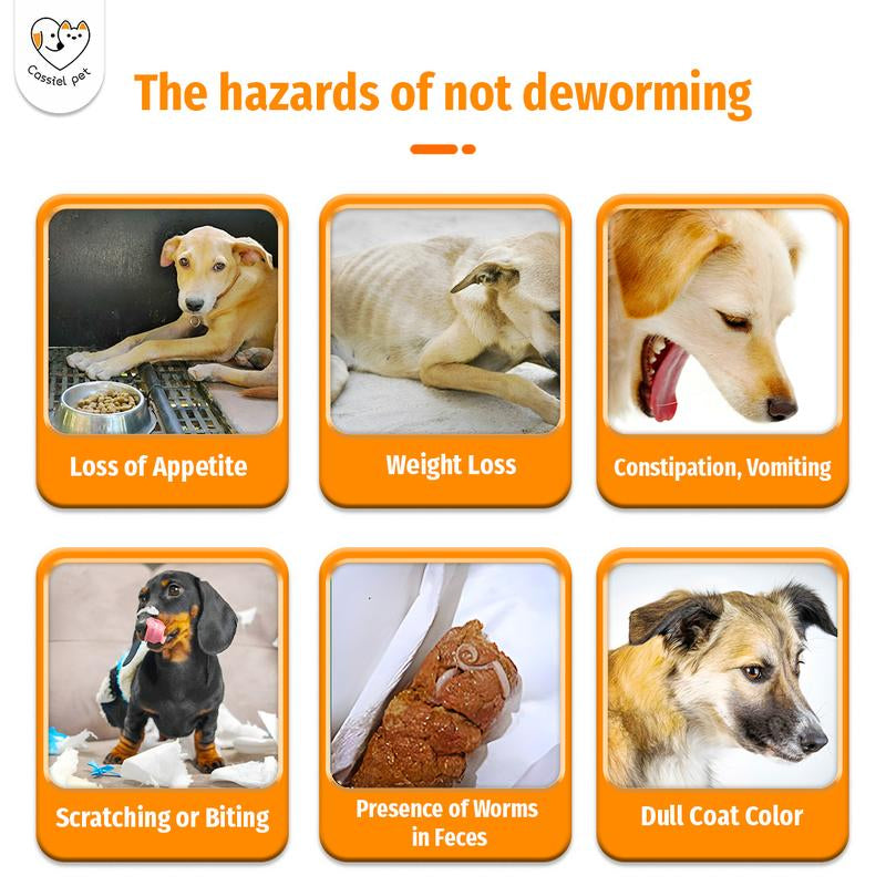 Cassiel Pet Natural Dog Parasite Support Chews Herbal Deworming Treats Chicken Flavor for Digestive Skin Health Immune Support Easy Feed