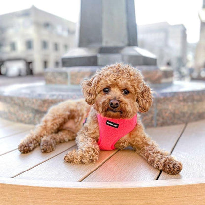 Adjustable Teddy Fabric Dog Harness - Fluorescent Pink