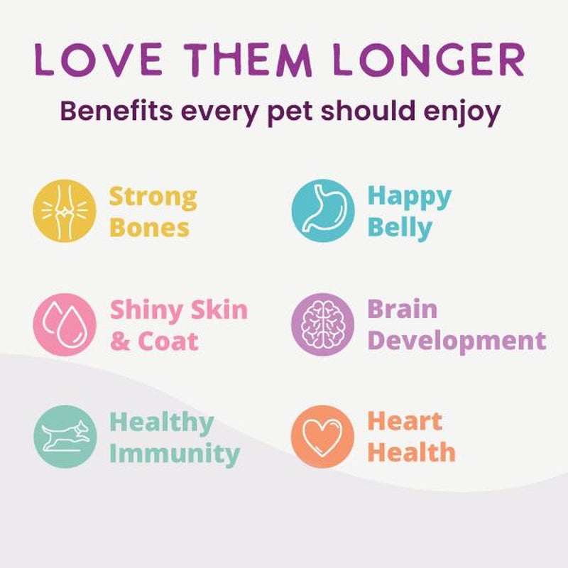 Gently Cooked Lamb and Carrot Recipe Dog Food | Health Extension