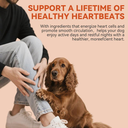 Gentle Wellness Support for Dogs | Taurine + Coq10 Soft Chews | No Fillers or Artificial Flavors