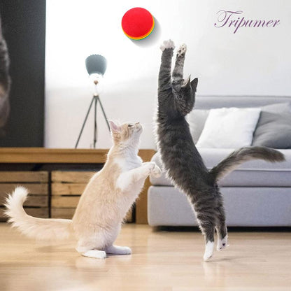 Cat Tunnel Dog Training Tunnel - Foldable Storage Tunnel for Cat Interactive Toys, Ideal for Pet Training and Play