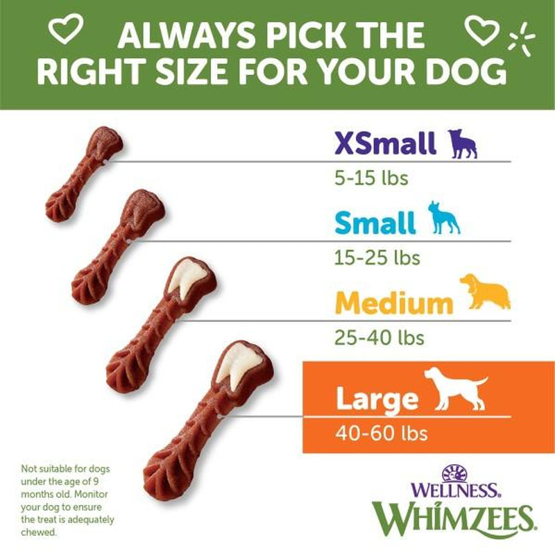 WHIMZEES Wellness Brushzees Dog Dental Treats, Dental Chews, Medium Size Stick, (12 Count)