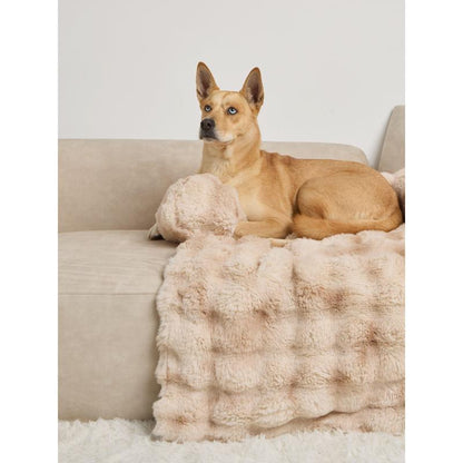 Comfrt | Dream Cloud Pet Sofa Bed